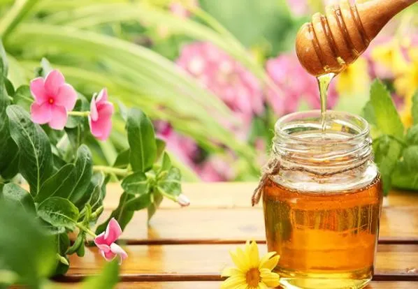قیمت خرید عسل چهل گیاه + آموزش