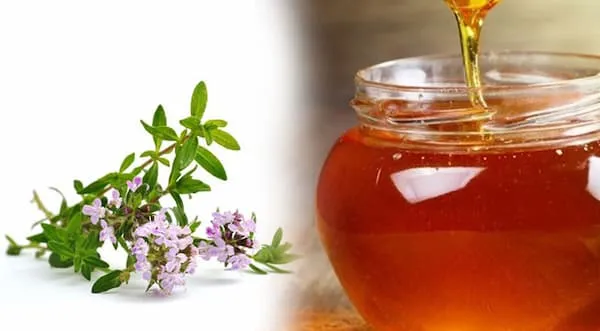 قیمت خرید عسل طبیعی آویشن + راهنمای استفاده
