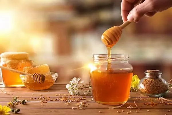 قیمت خرید عسل طبیعی کنار + طرز تهیه