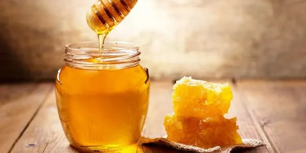 قیمت خرید عسل طبیعی کنار + طرز تهیه
